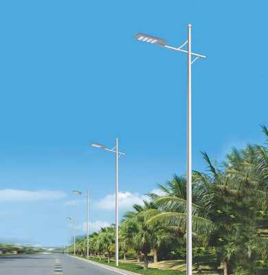 1742826417846087.jpg 定日LED路灯.jpg