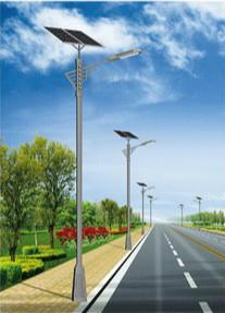 1742827545426759.jpg 定日太阳能路灯.jpg