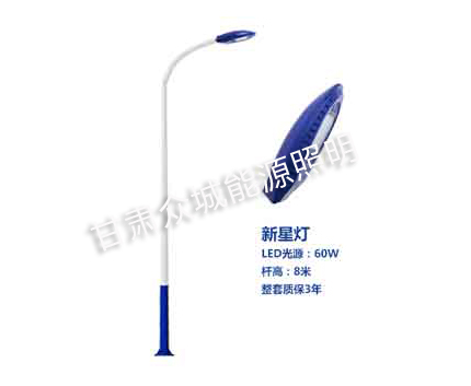 定日爆款市电路灯